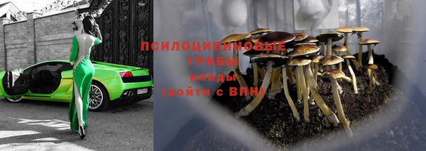 а пвп мука Арсеньев