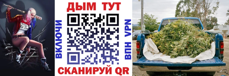Канабис конопля  купить   ОМГ ОМГ сайт  Гвардейск 